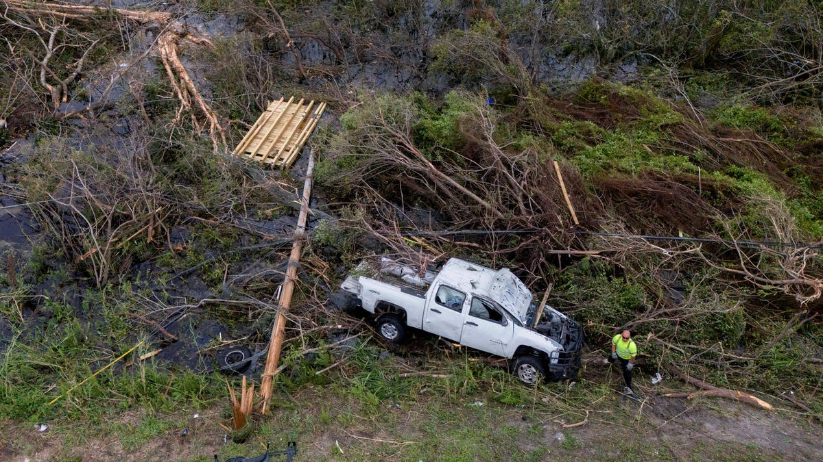 Florida home insurance costs less with more companies